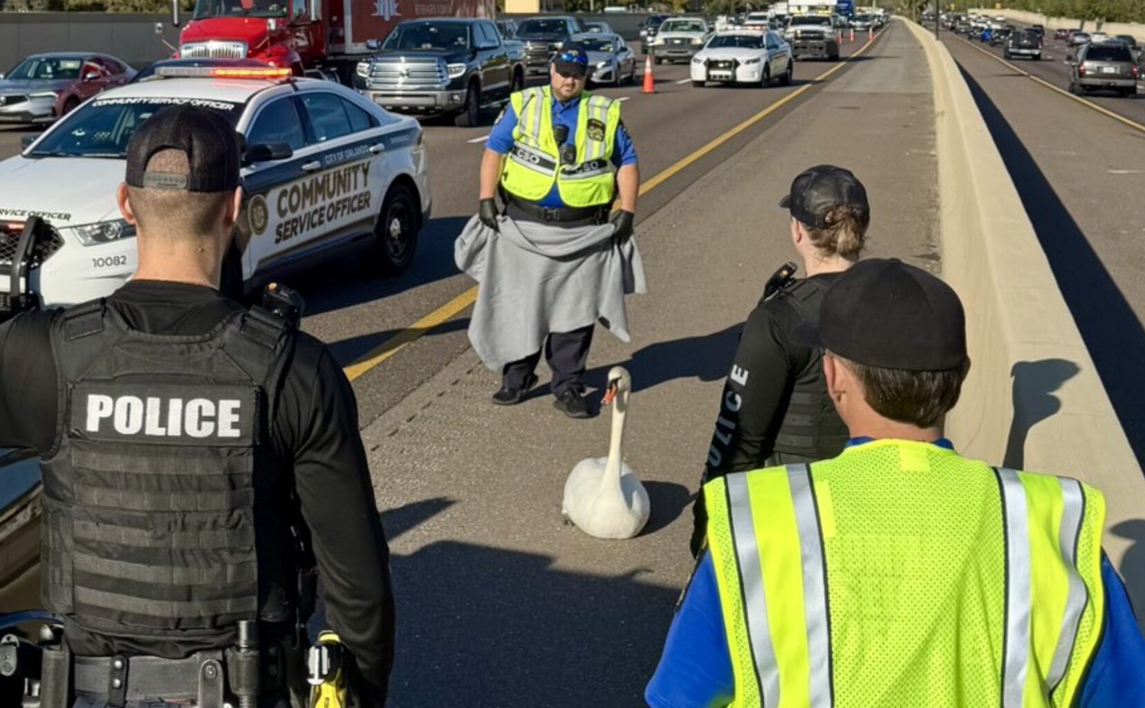 The most bizarre things that happened in Orlando this year