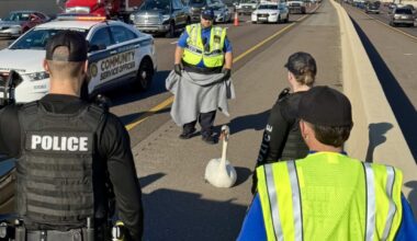 The most bizarre things that happened in Orlando this year