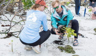 Lessons learned rebuilding storm-hit beaches