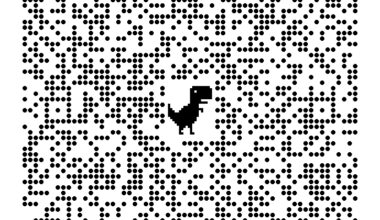 Sunflo Detailing Expands Protective Services to Preserve Fort Lauderdale Vehicles