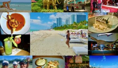 Miami Travel Guide to Restaurants, Hotels and Things to Do