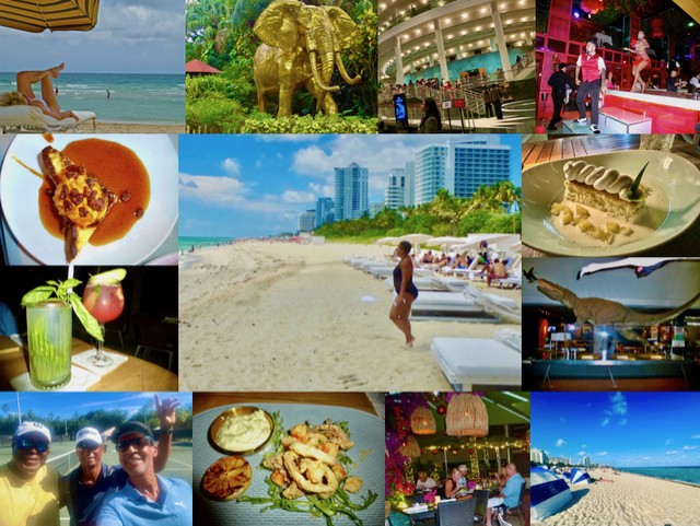 Miami Travel Guide to Restaurants, Hotels and Things to Do