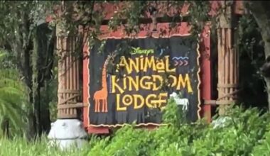 Florida woman sues Disney after falling near Animal Kingdom Lodge pool, complaint says