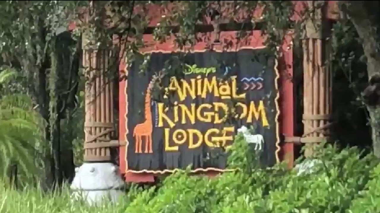Florida woman sues Disney after falling near Animal Kingdom Lodge pool, complaint says