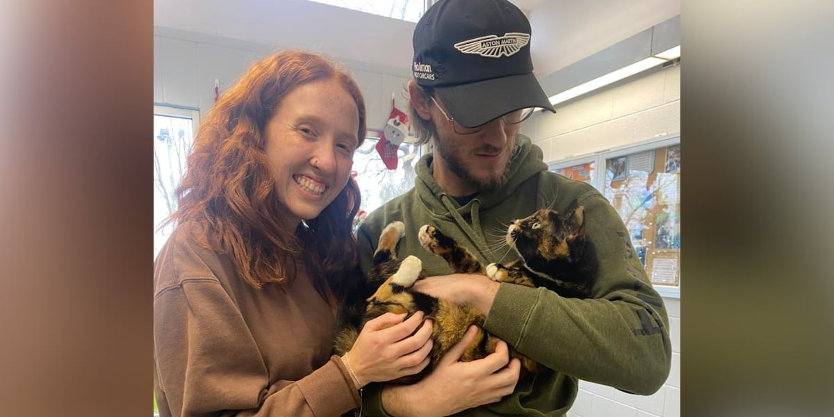 Woman drives to Lexington from Florida to reunite with microchipped cat after years apart