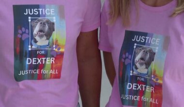 Dexter’s Law among more than 100 in Florida taking effect January 1