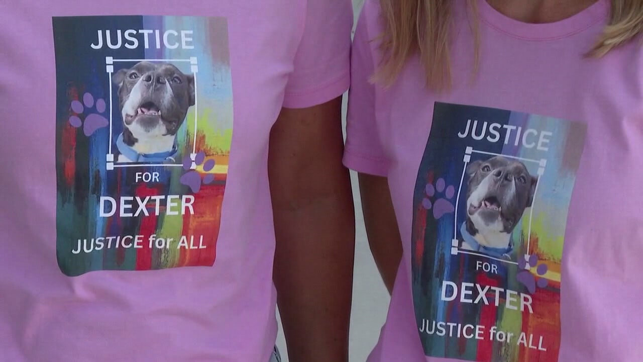 Dexter’s Law among more than 100 in Florida taking effect January 1
