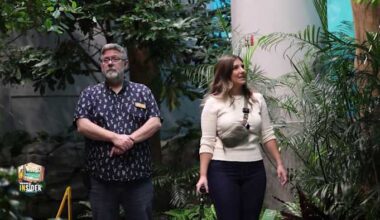 4 floors of hands‑on fun, real rainforest and big‑idea play