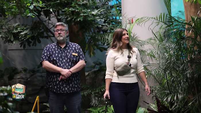 4 floors of hands‑on fun, real rainforest and big‑idea play