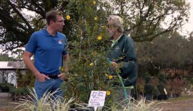 Protecting your plants properly for cold weather in Central Florida