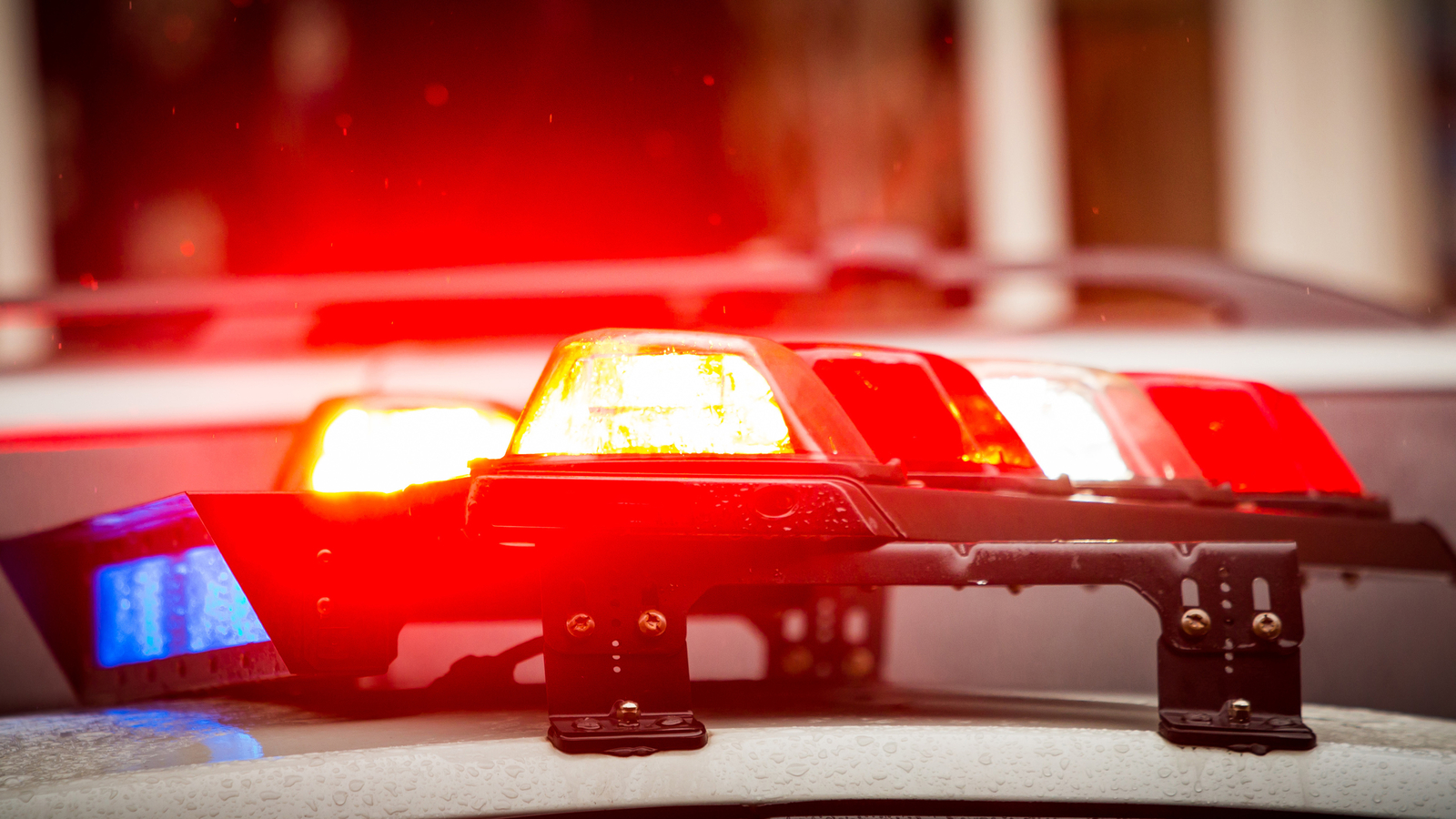 6-year-old girl dies after being injured at Florida trampoline adventure park: Police