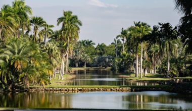 Yahoo lifestyle home