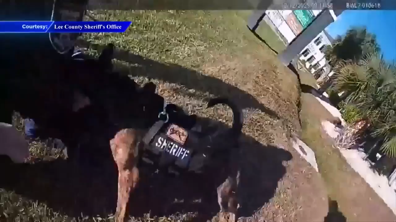 Florida man accused of attacking police K-9 while resisting arrest for breaking into Cape Coral home - WSVN 7News | Miami News, Weather, Sports