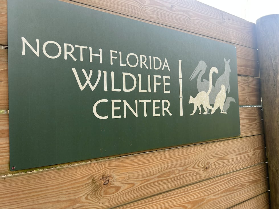 The North Florida Wildlife Center is located in Jefferson County, Florida.