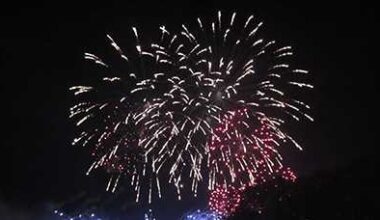 Dry conditions fuel wildfire concerns in Central Florida