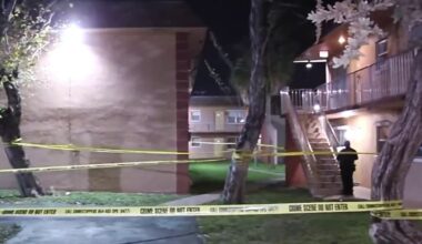 Woman fatally stabbed at apartment complex in Oakland Park, suspect arrested – NBC 6 South Florida