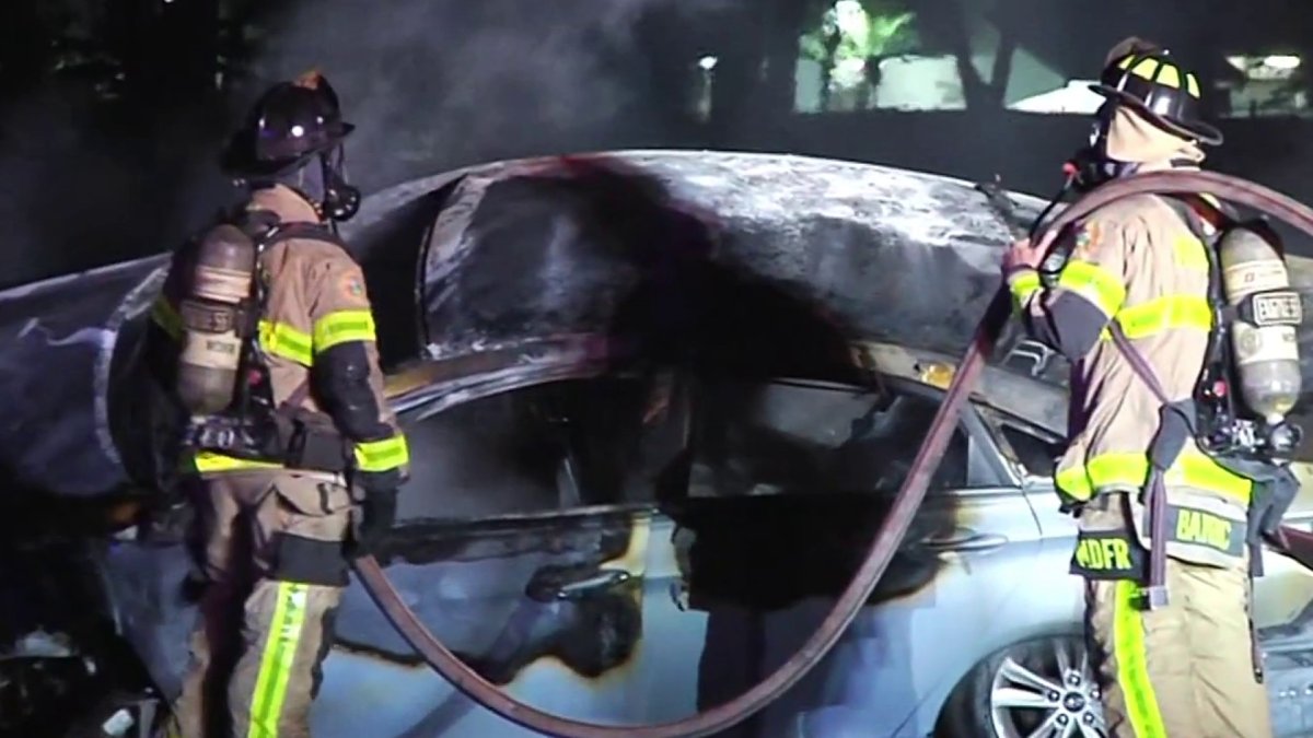 Sheriff – NBC 6 South Florida