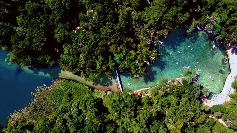 arial shot of water and trees at Wekiwa Springs State Park