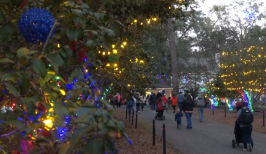 Law enforcement emphasize traffic safety during Tallahassee’s Elf Night: ‘Get home safely’