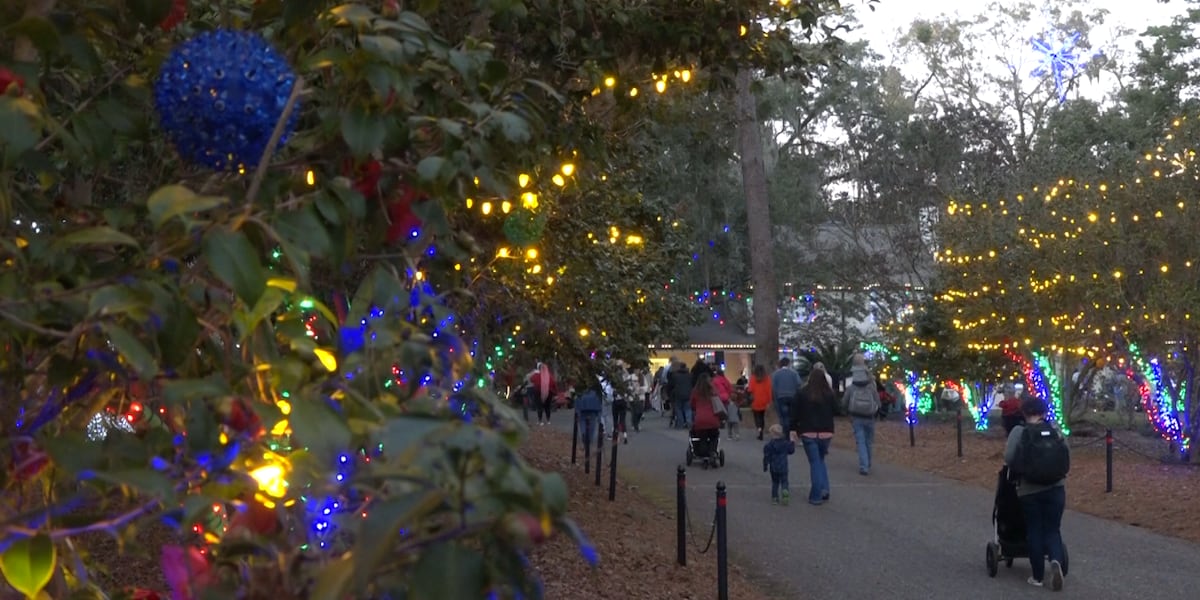 Law enforcement emphasize traffic safety during Tallahassee’s Elf Night: ‘Get home safely’