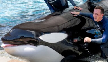 Two SeaWorld Orlando trainers and killer whale Katina, who died at age 50 over the weekend. (SeaWorld Orlando)