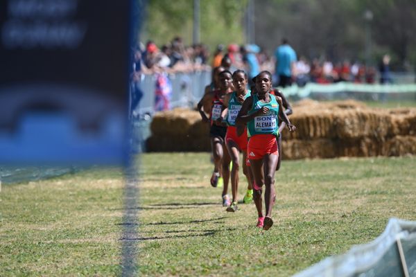 30-day countdown begins for the World Athletics Cross Country Championships Tallahassee 26 | News | Tallahassee, FL 26