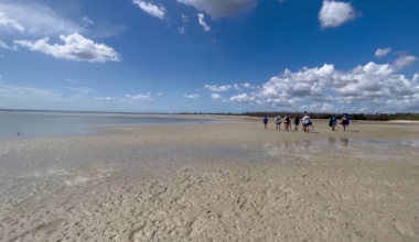 Man accused of providing drugs, alcohol to teen; connected to previously missing Bunche Beach paddleboater | Lee County