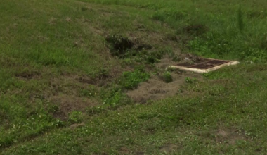 Cape Coral residents face water woes as drought grips Southwest Florida | Lee County