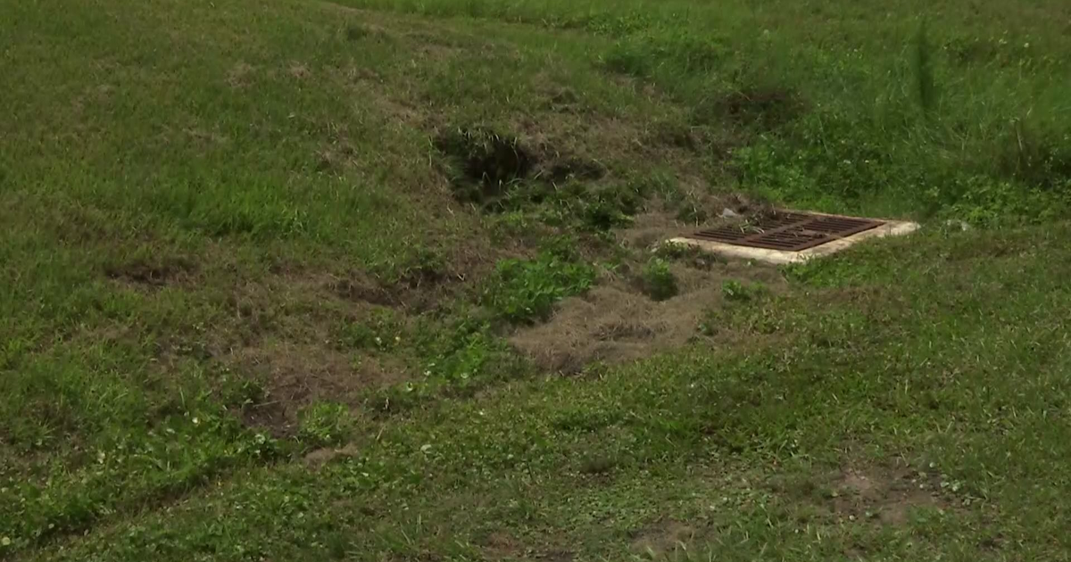 Cape Coral residents face water woes as drought grips Southwest Florida | Lee County