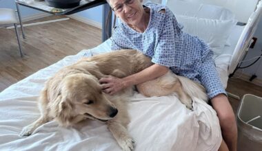 Therapy dog joins Lutz hospital full time | News