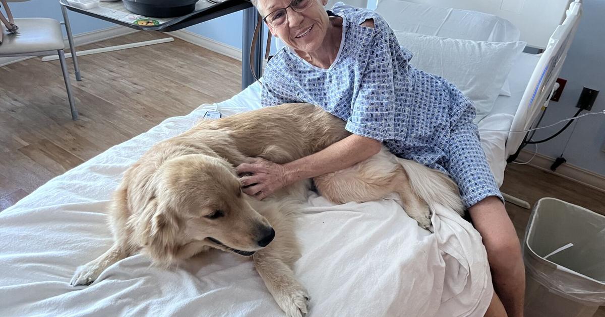 Therapy dog joins Lutz hospital full time | News