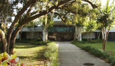 Council formally requests K-8 study for Oldsmar Elementary | News