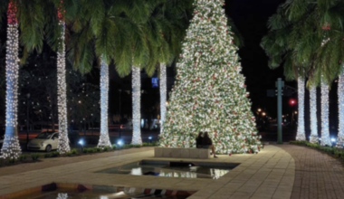 Sunday weather on Key Biscayne | Key Biscayne