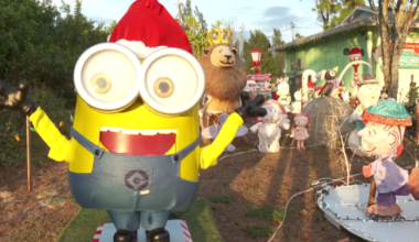 Cape Coral couple spreads holiday cheer with dazzling light display for charity | Lee County