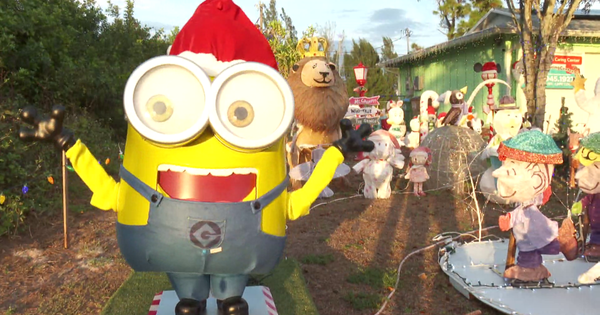 Cape Coral couple spreads holiday cheer with dazzling light display for charity | Lee County