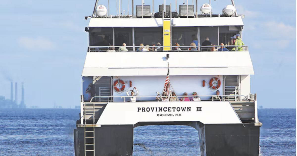 Tampa Bay Ferry to return, operated by Hubbard’s Marina | Beaches