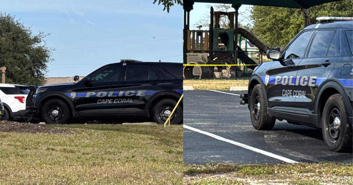 Cape Coral police investigate arson case at Pelican Park | Lee County