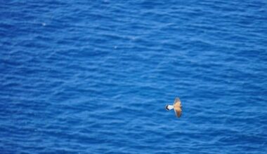 Mild and dry Friday expected on Key Biscayne | Key Biscayne