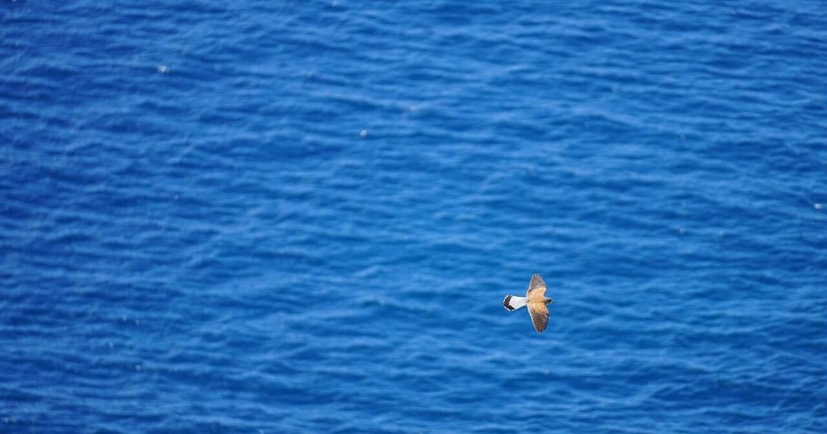 Mild and dry Friday expected on Key Biscayne | Key Biscayne