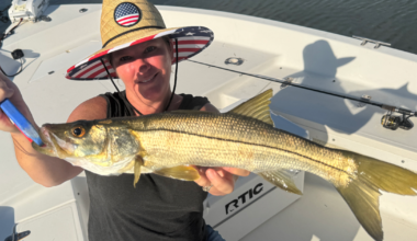 The Tampa Bay Fishin’ Report: Cooler water has sheepshead biting | Sports