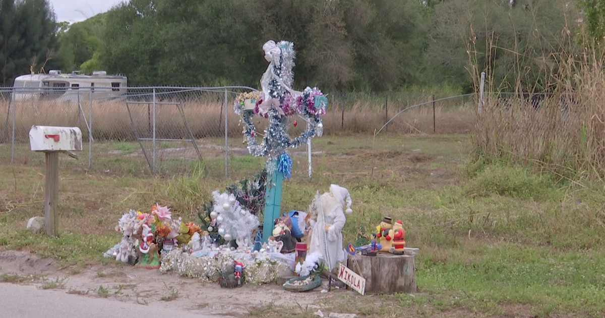 North Fort Myers community honors teen hero with new memorial | Lee County