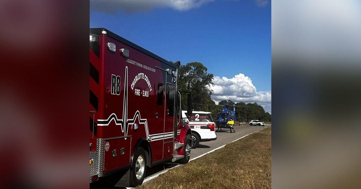 Child falls from moving car on Veterans Blvd in Charlotte County | Charlotte County