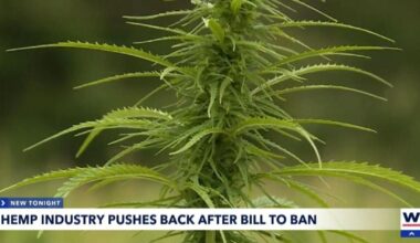 Cape Coral hemp shops worry as new bill threatens THC product legality |