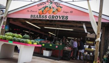 Bearss Groves market temporary closed, in transition for new tenant | News