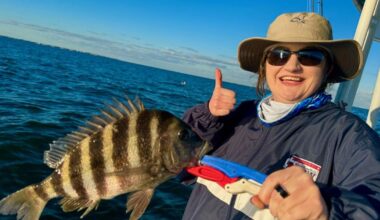 The Tampa Bay Fishin’ Report: Plenty of fish biting all around the bay | Sports
