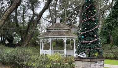 After complaints, Temple Terrace promises more decorations next holiday season | News