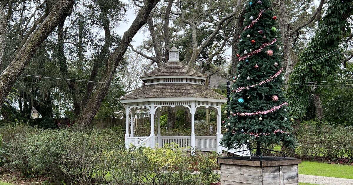 After complaints, Temple Terrace promises more decorations next holiday season | News