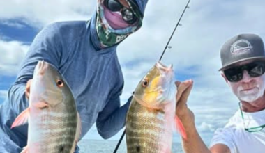 Tarpon have been biting at night | Fishing