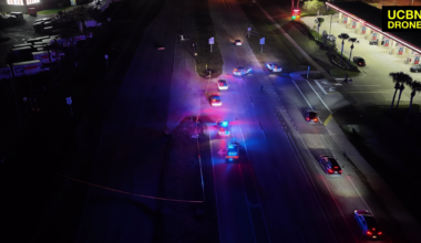 North Fort Myers crash kills motorcyclist and dog on North Cleveland Avenue | Lee County