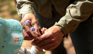 Gifts That Build Community | Kbvotes